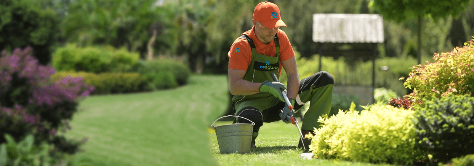 lawn and garden